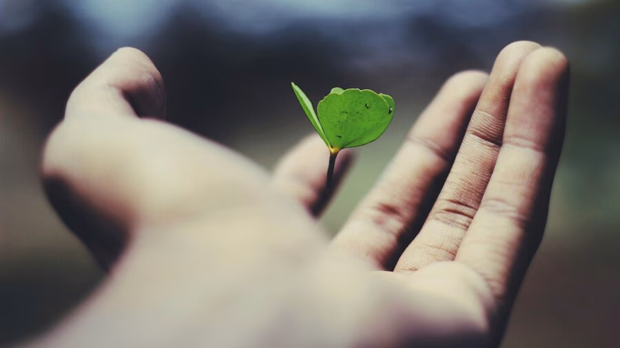 Как ClientPulse помогает увеличить продажи на 40% Как ClientPulse помогает увеличить продажи на 40% - Блог ClientPulse о CDP и маркетинге